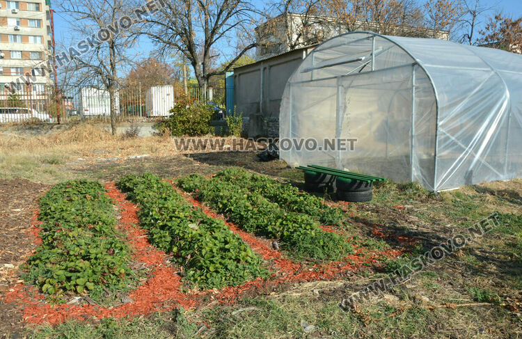 Бивша строителна площадка става училищно опитно поле