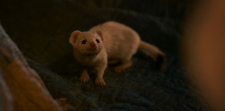 Третият, финален сезон на фентъзи сериала “Тъмните му материи” дебютира на 6 декември в HBO Max