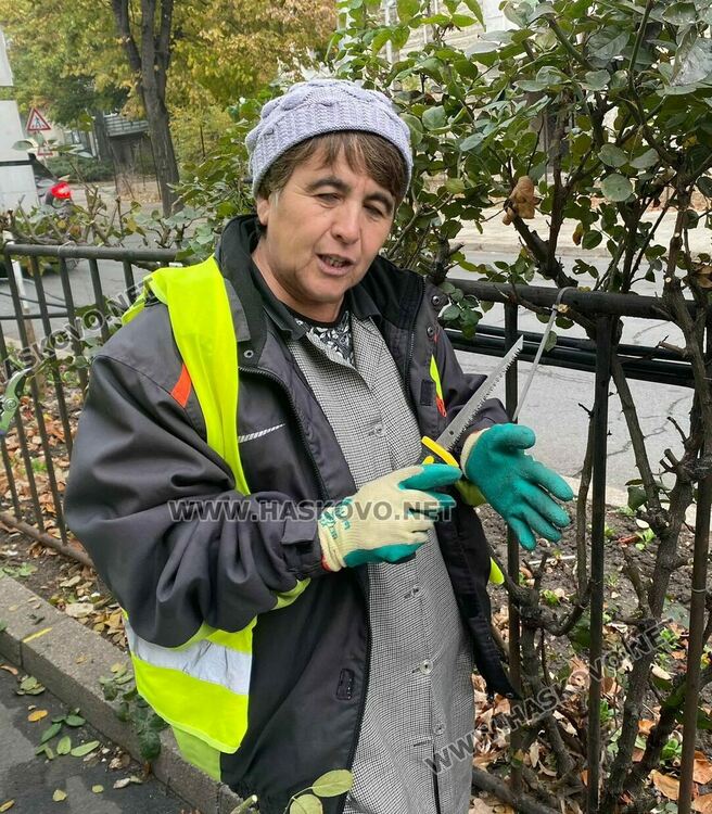 За да са красиви розовите ви храсти, най-подходящото време за резитбата им е през есента