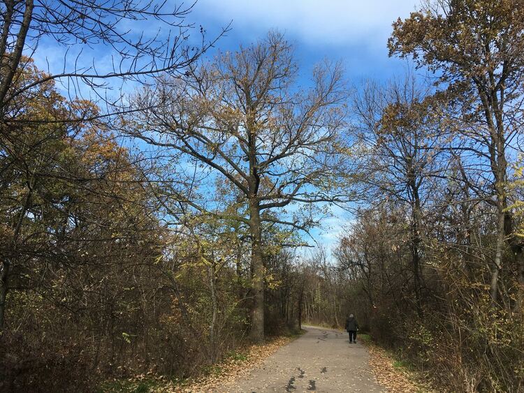 Променлива облачност с превалявания, топло за сезона