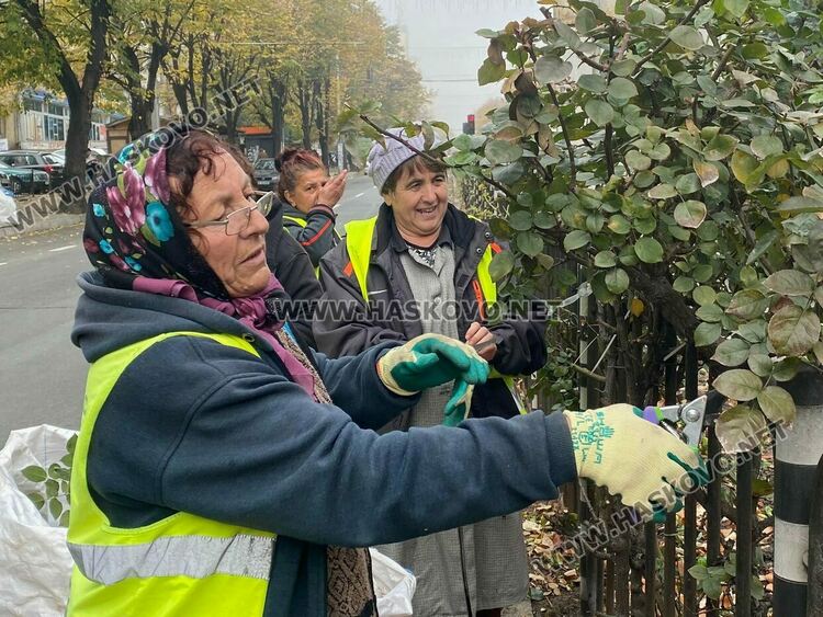 За да са красиви розовите ви храсти, най-подходящото време за резитбата им е през есента