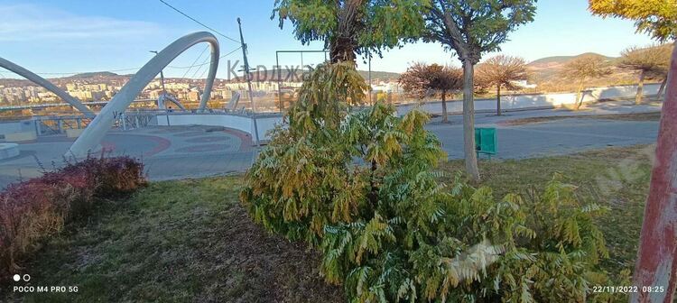 Силният вятър вчера прекърши клони,за щастие няма пострадали в Кърджали