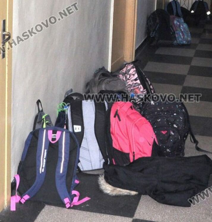 2365 хасковлийчета са заминали за чужбина за по-малко от 1 година