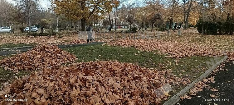 Почистват парк „Горубсо” с духалки за листа