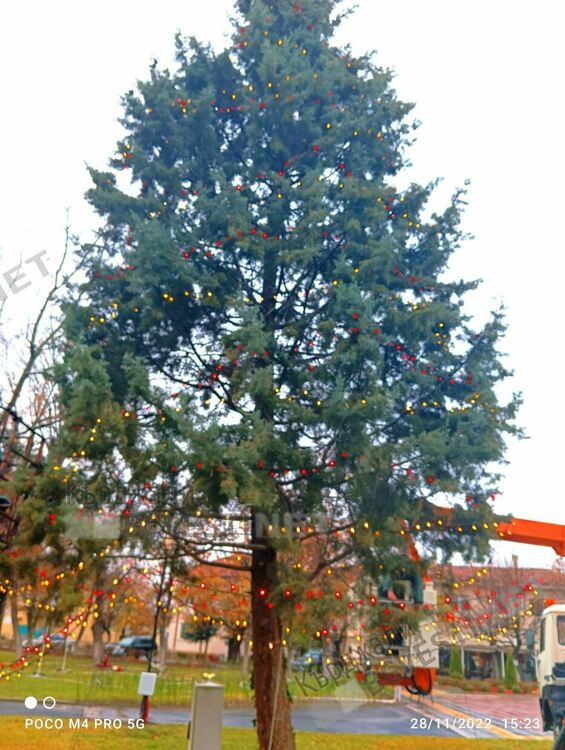 Празничната елха в Момчилград грейва на 1 декември