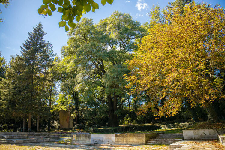 Гласувайте за единствения представител от Хасковска област в конкурса "Дърво с корен"