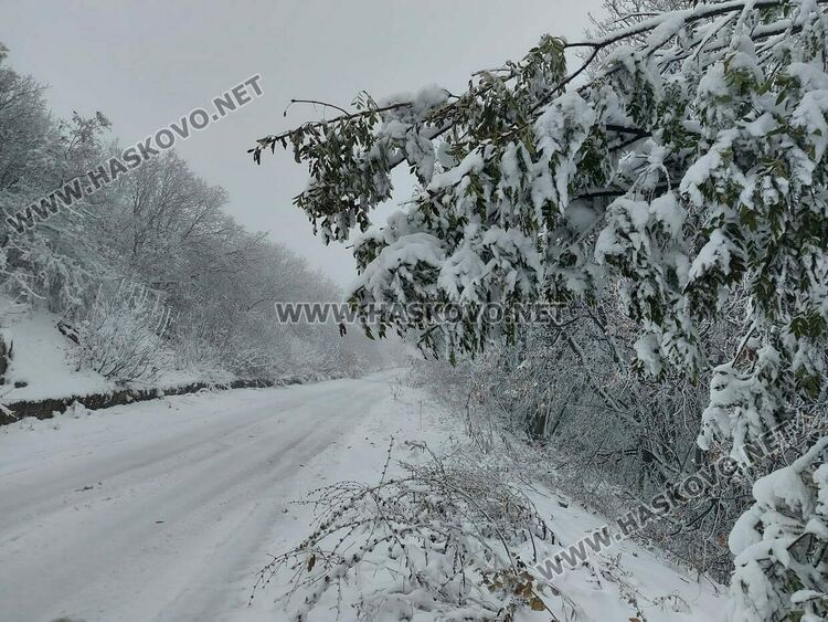 Първи сняг на Аида привлича хасковлии