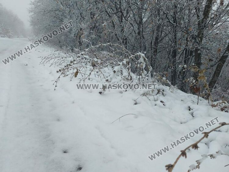 Първи сняг на Аида привлича хасковлии