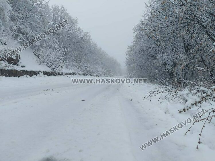 Първи сняг на Аида привлича хасковлии
