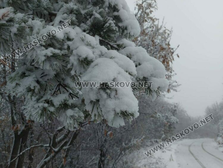 Първи сняг на Аида привлича хасковлии