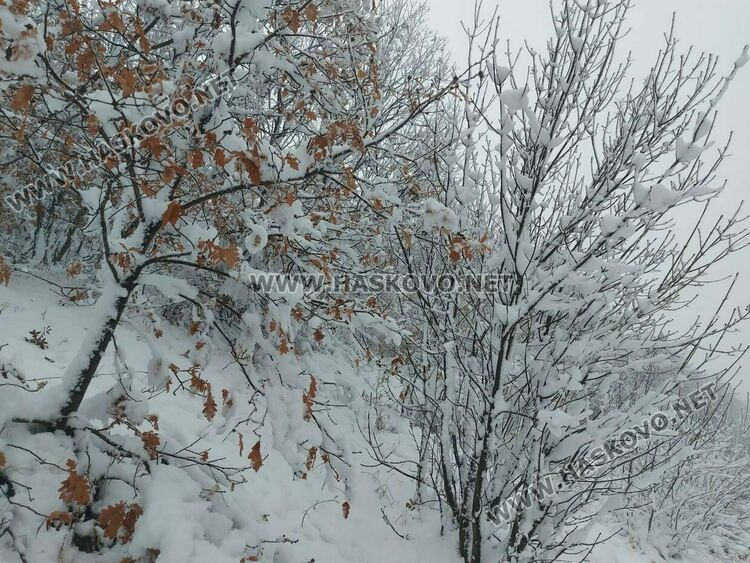 Падна първият за сезона сняг в хасковско