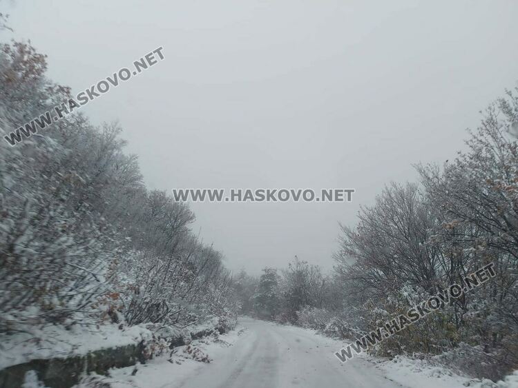 Първи сняг на Аида привлича хасковлии