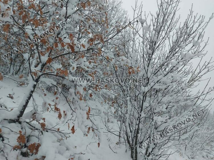 Първи сняг на Аида привлича хасковлии