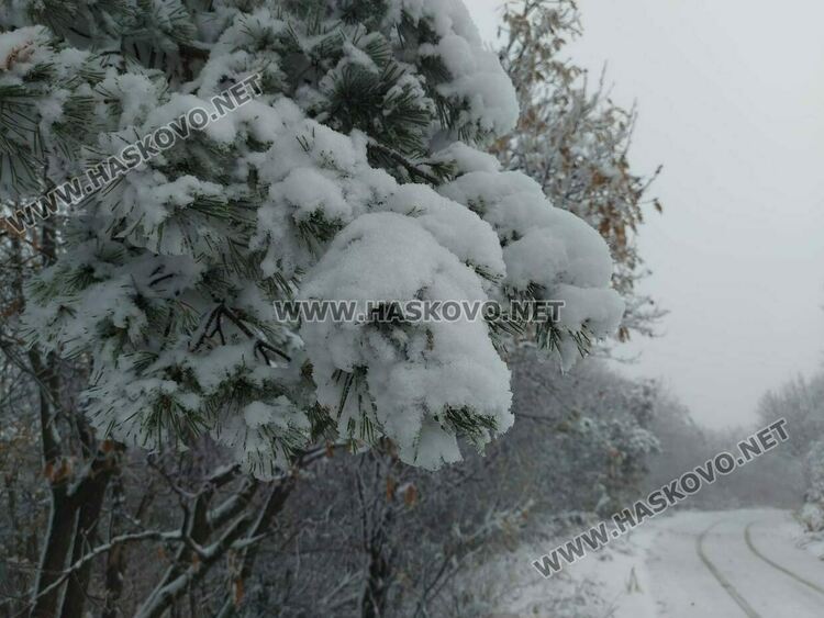 Падна първият за сезона сняг в хасковско
