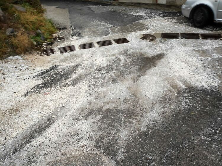 снимка:Пламен Герджиков