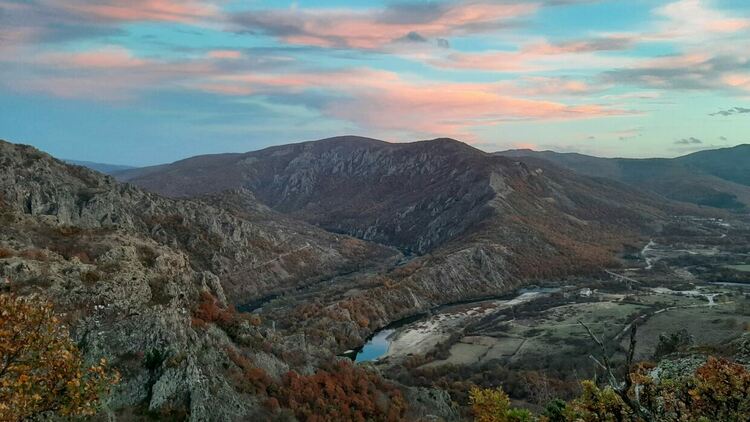 сн: Здравка Тасева