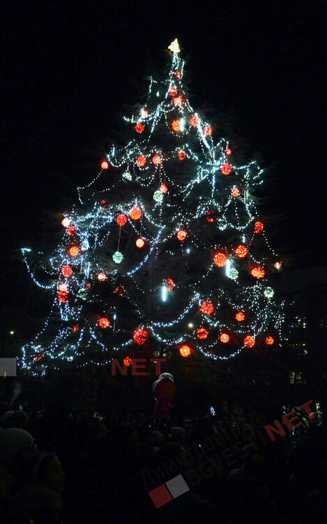 Дядо Коледа идва към Димитровград за да запали светлините на коледната елха