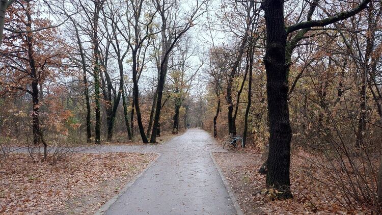 Облачно и мъгливо начало на седмицата