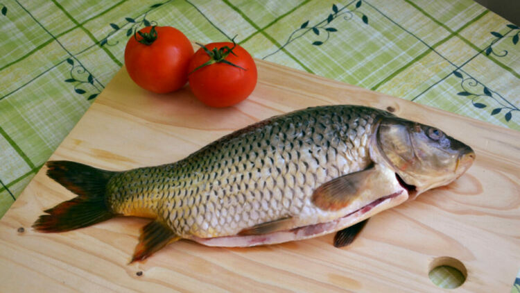 Леко повишение в цената на рибата преди Никулден има в Перник