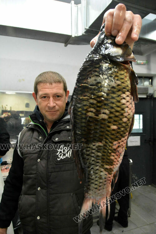 Изпърженият шаран е най-търсен за Никулден в Хасково