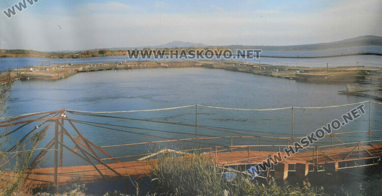 Изпърженият шаран е най-търсен за Никулден в Хасково