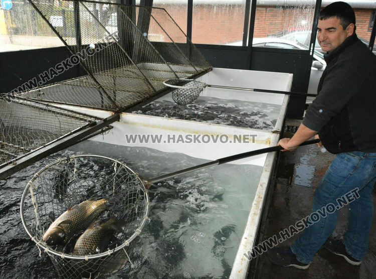 Красимир Джигов