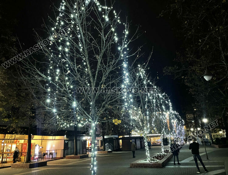 Хасково грейна в празнична украса, тържествено запалват светлините на елхата на Никулден