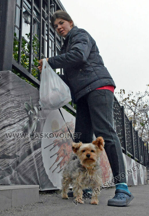 Изпърженият шаран е най-търсен за Никулден в Хасково