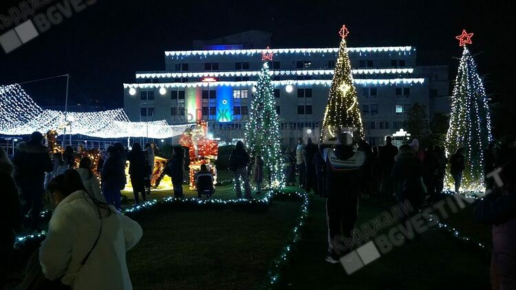 Коледната елха грейна в Кърджали