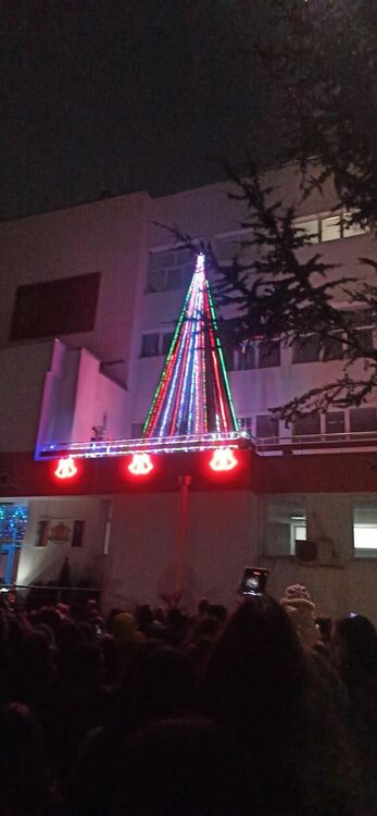 Грейна елхата на "Славейков"