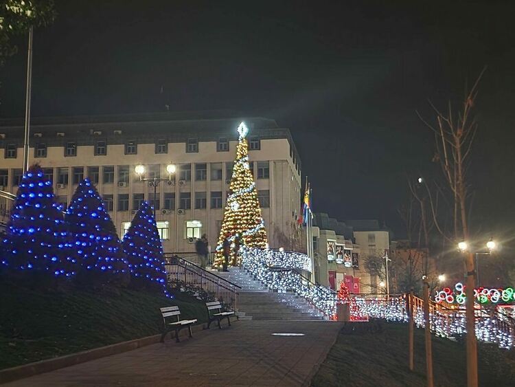 Грейна коледната елха в Асеновград (снимки)