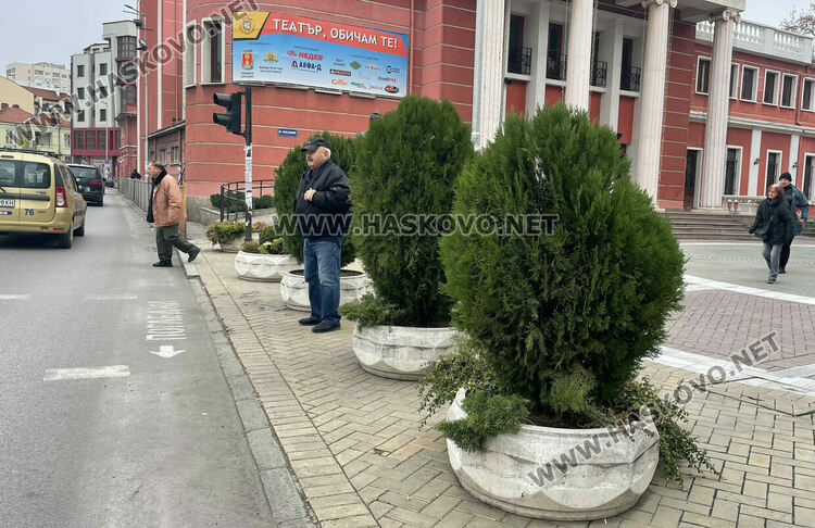 Водачи: Саксии с растения запречват видимостта към пешеходците