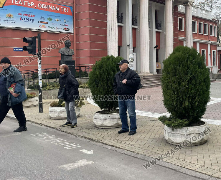 Водачи: Саксии с растения запречват видимостта към пешеходците