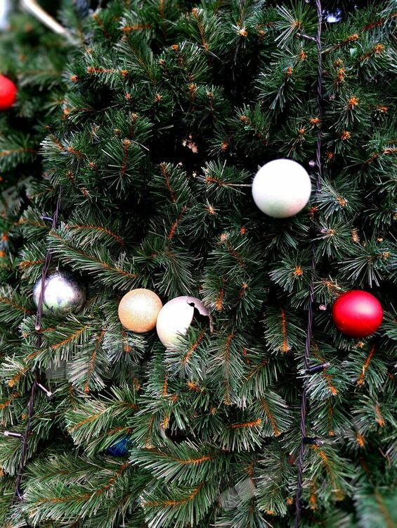 Посегнаха и на топките от украсата на Коледна елха в Кърджали