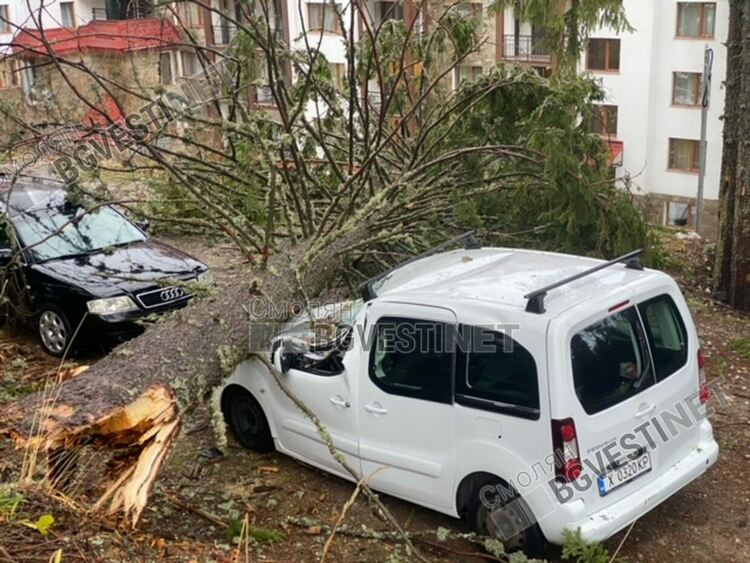 Стихия на Пампорово! Вятърът троши дървета като клечки, премаза коли, една от тях на ЕСКОМ / ГАЛЕРИЯ/