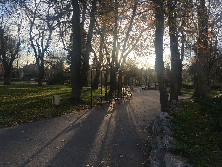 Застудяване, следобед валежи сняг и дъжд