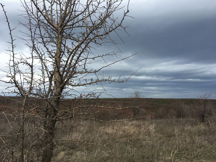 Облачно в събота