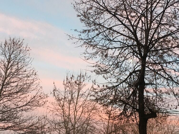 Ледено утро, слънчево през деня