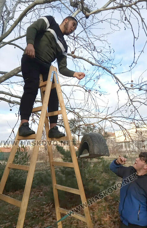 Къщички и хранилки за птици в Еко работилницата на открито в гимназията по транспорт и аграрни технологии