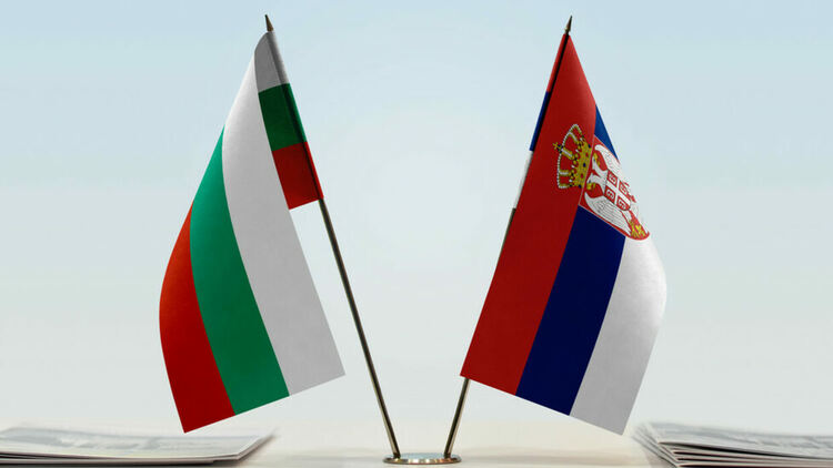 Шефът на сръбския медиен регулатор: Българите са чистокръвни сърби