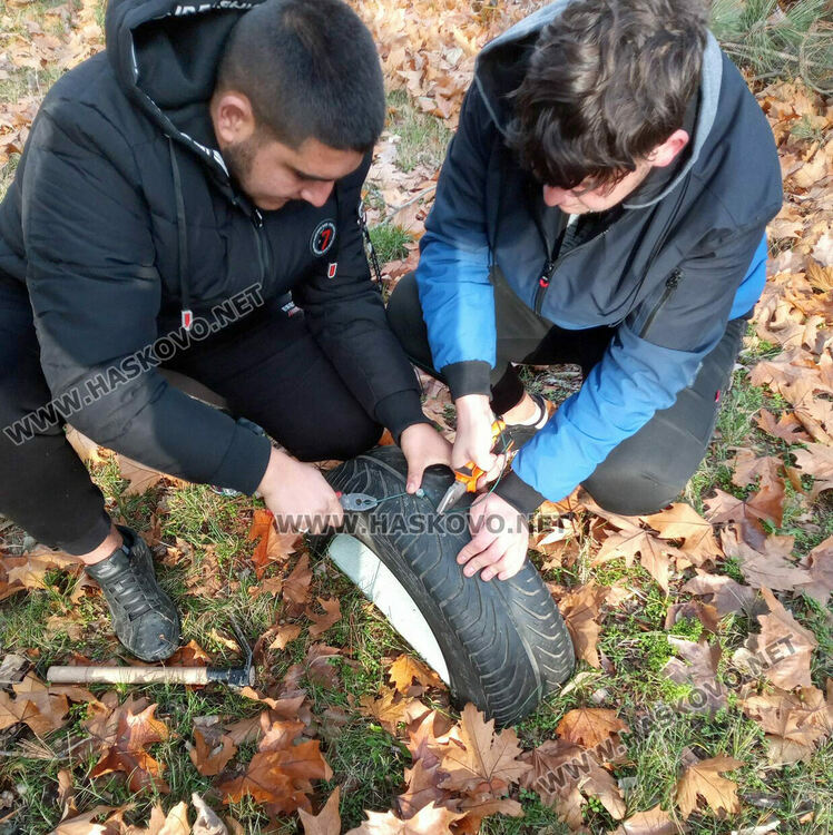 Къщички и хранилки за птици в Еко работилницата на открито в гимназията по транспорт и аграрни технологии