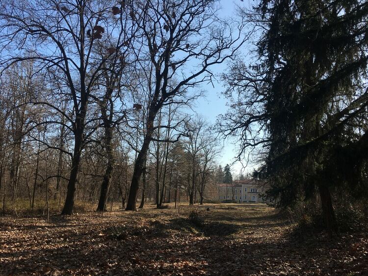 Мъгливо утро, слънчево в планините