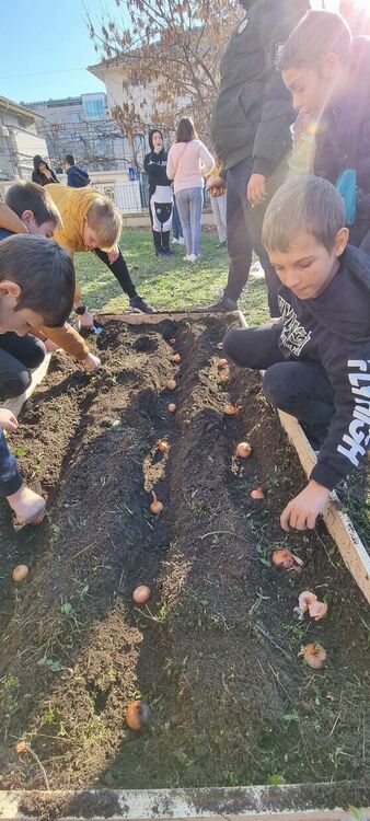 Славейковци с еко инициатива