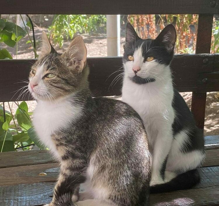 Предимно слънчево и по-топло в петък