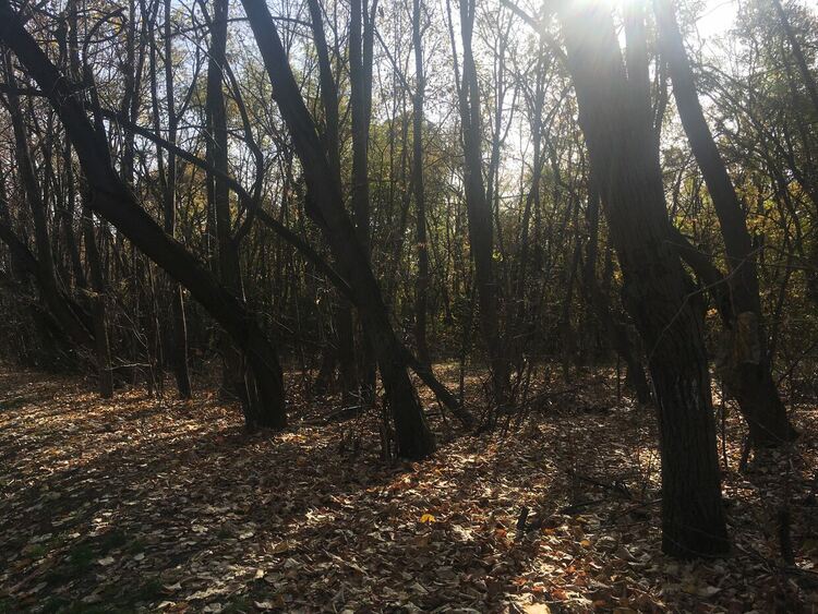 Облачността намалява, до 13 градуса днес