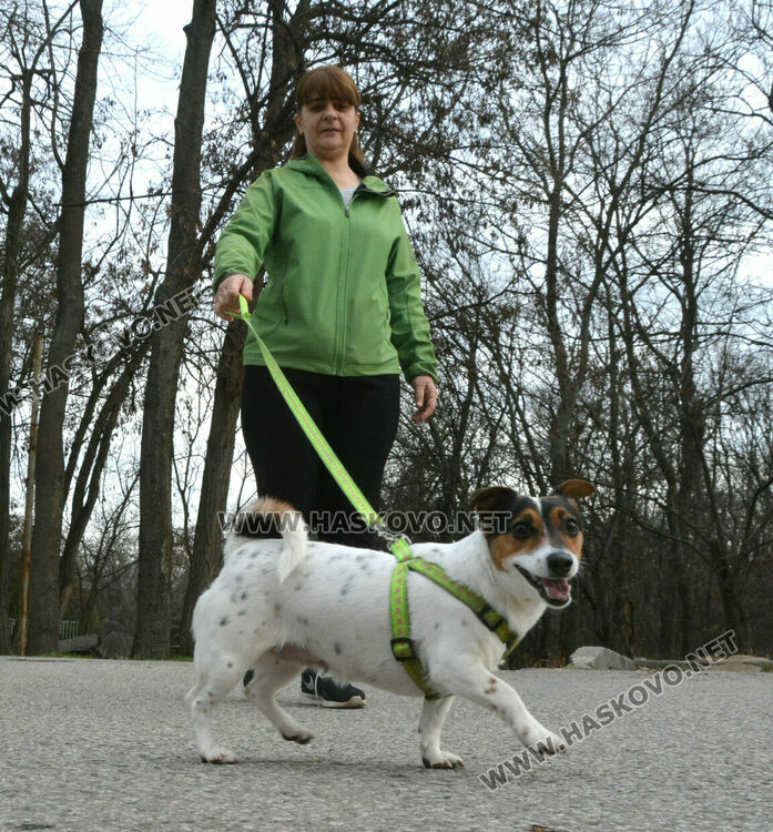 Оживление в хасковските паркове в топлия декември