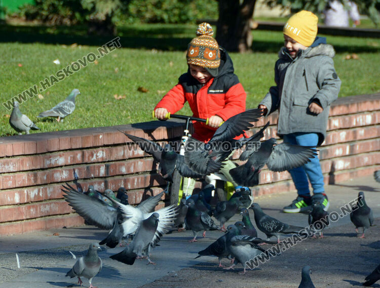 Необичайно топло, но с променлива облачност в сряда
