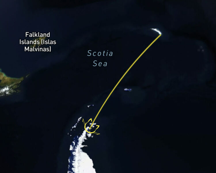 Стефан Иванов: “Мисията на Шакълтън” се отправя към началната точка