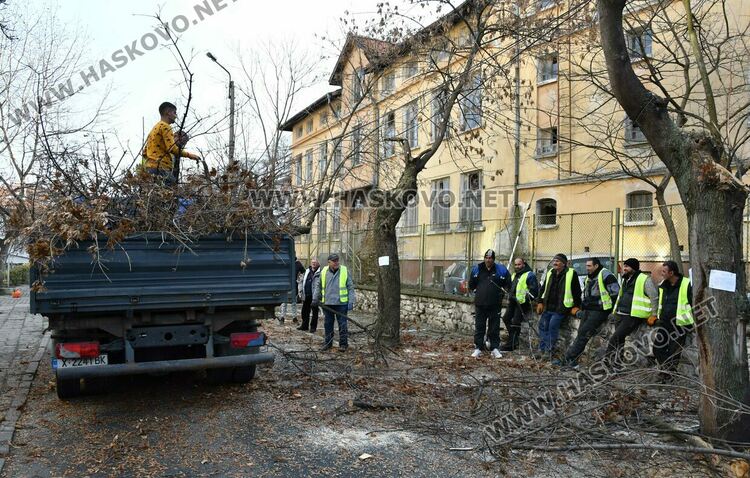 Затвориха улицата край EVN заради резитба на дървета