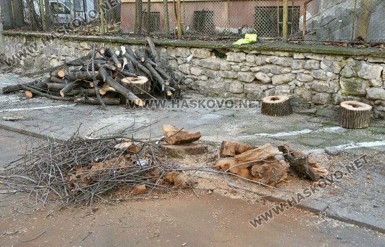 Затвориха улицата край EVN заради резитба на дървета
